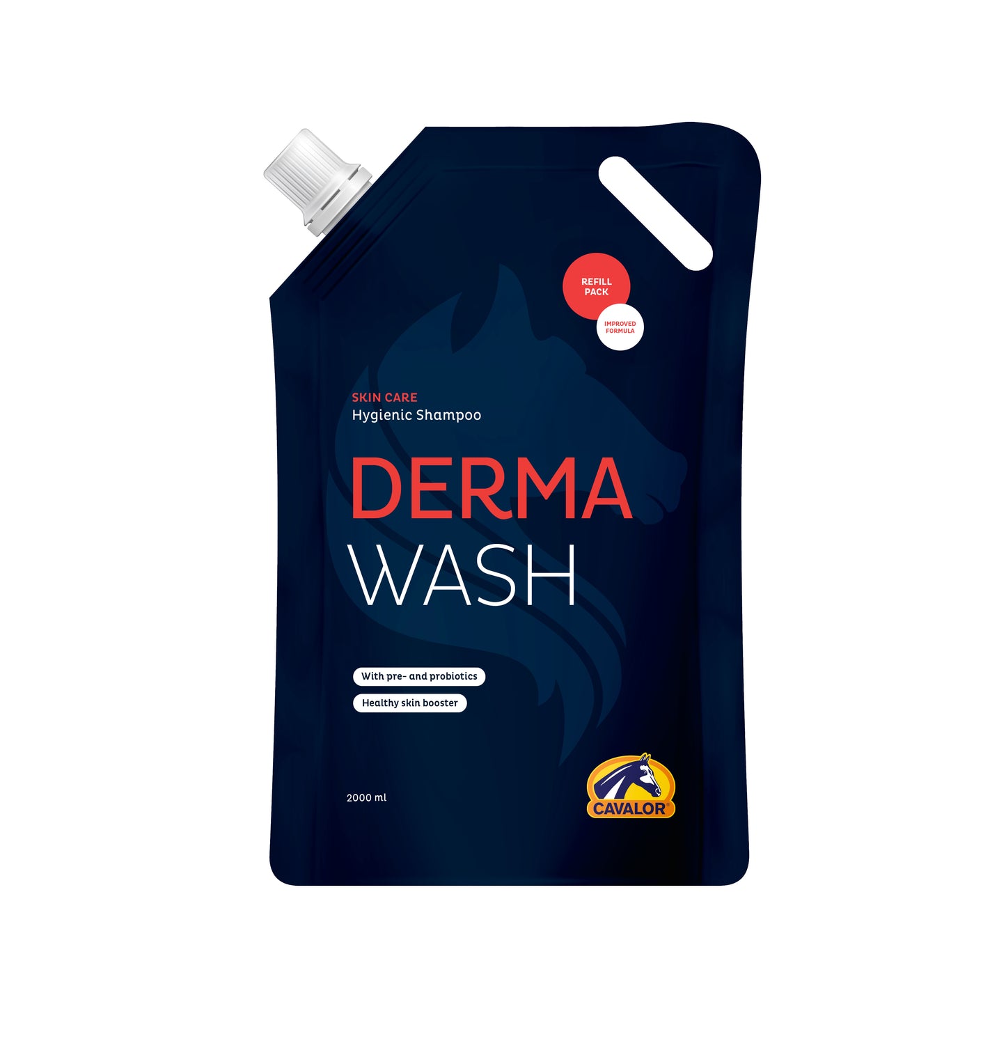 DERMA WASH  POUCH 2000ML