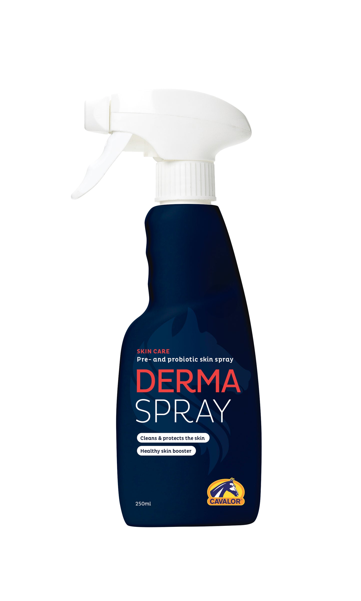 DERMA SPRAY - 250ml