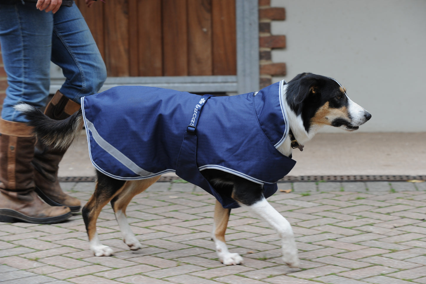 FREEDOM RIP-STOP DOG RUG 300G- Navy/Silver - 62- 24'' (60)