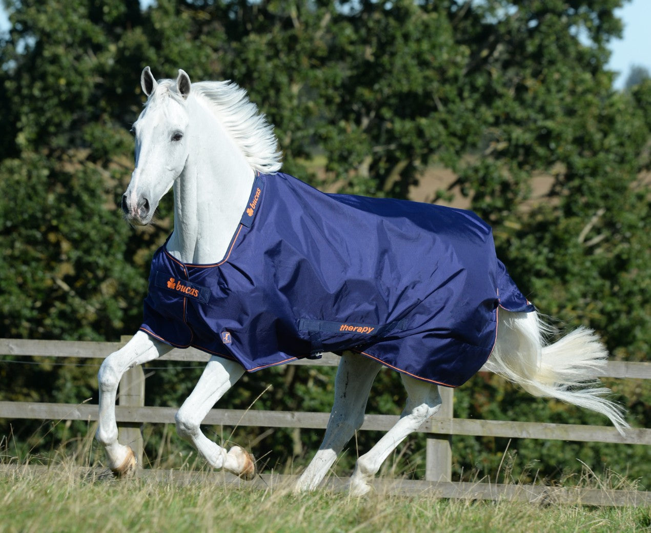 BUCAS THERAPY TURNOUT LIGHT- Navy/Orange-51- 6'6 (145)