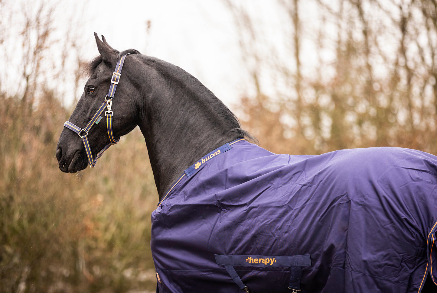 BUCAS THERAPY TURNOUT 150- Navy/Orange-51- 5'0 (115)