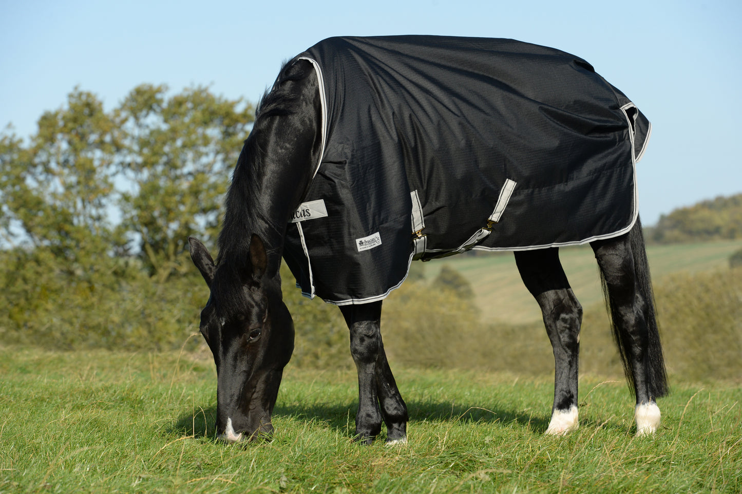 ANNIVERSARY TURNOUT LIGHT STAY-DRY- Black-04- 6'9 (155)