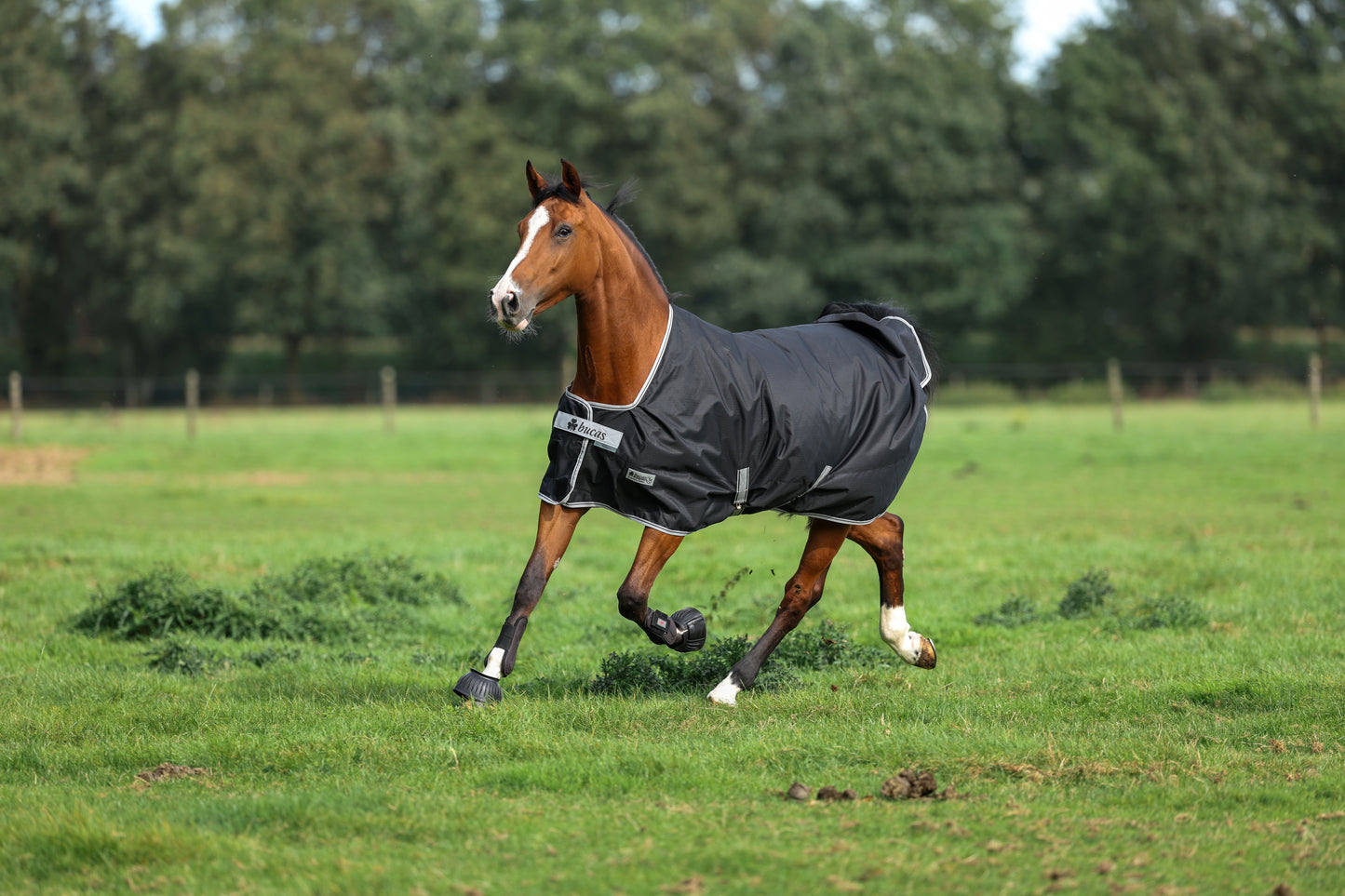 ANNIVERSARY TURNOUT 150 STAY-DRY- Black-04- 6'6 (145)