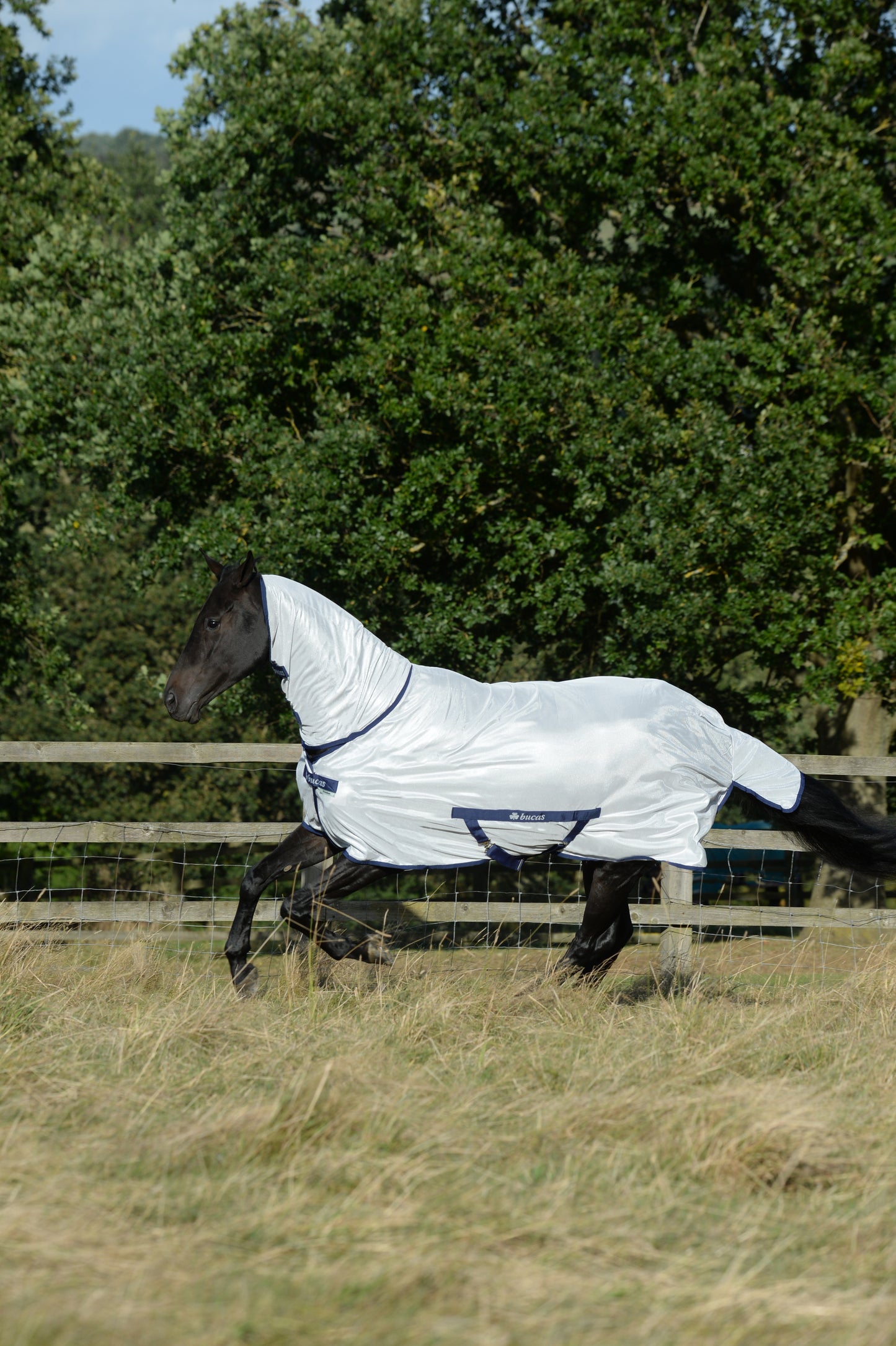 FREEDOM FLY SHEET- Silver-15- 6'0 (135)