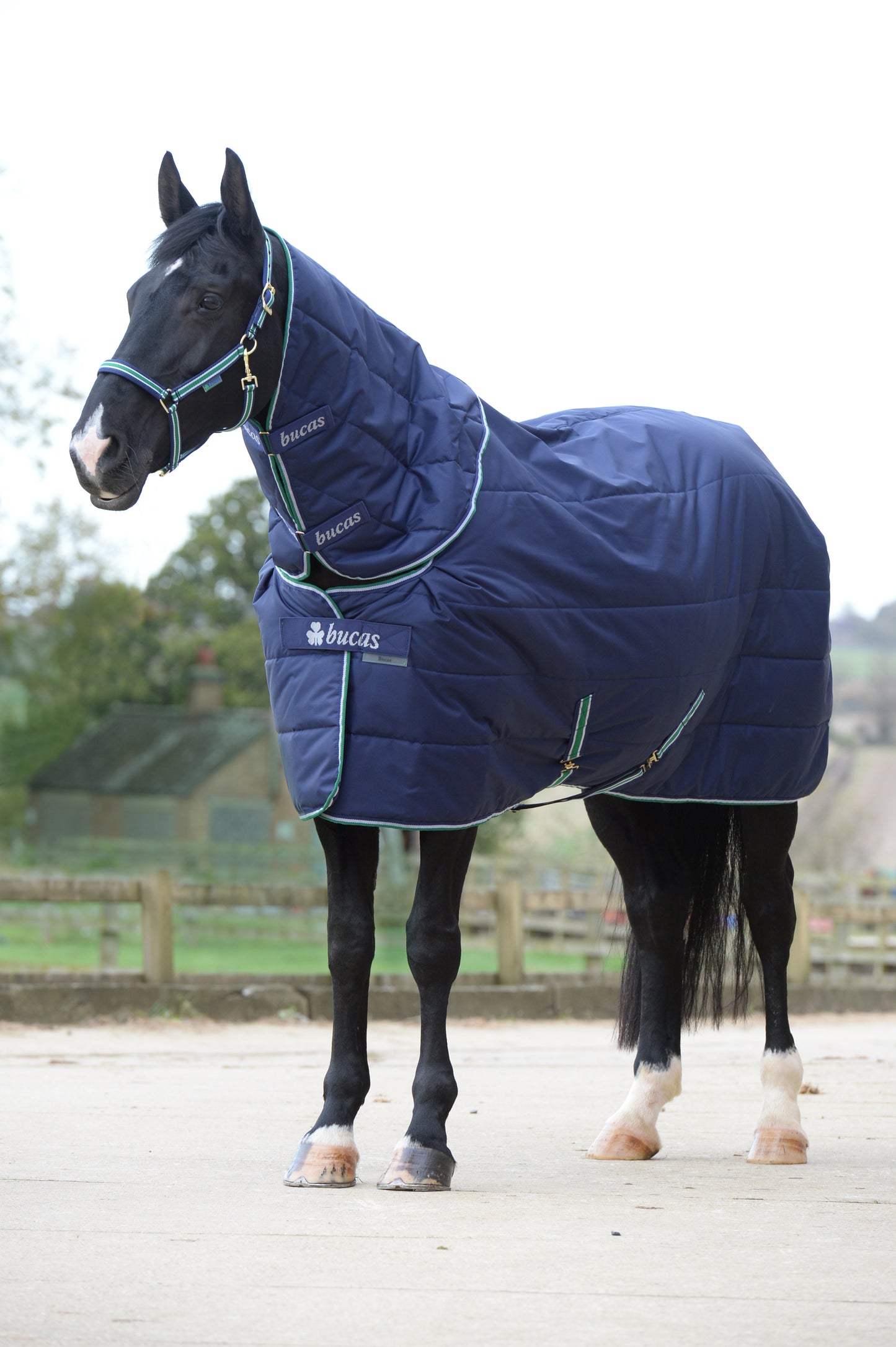 BUCAS QUILT NECK- Navy -34- M