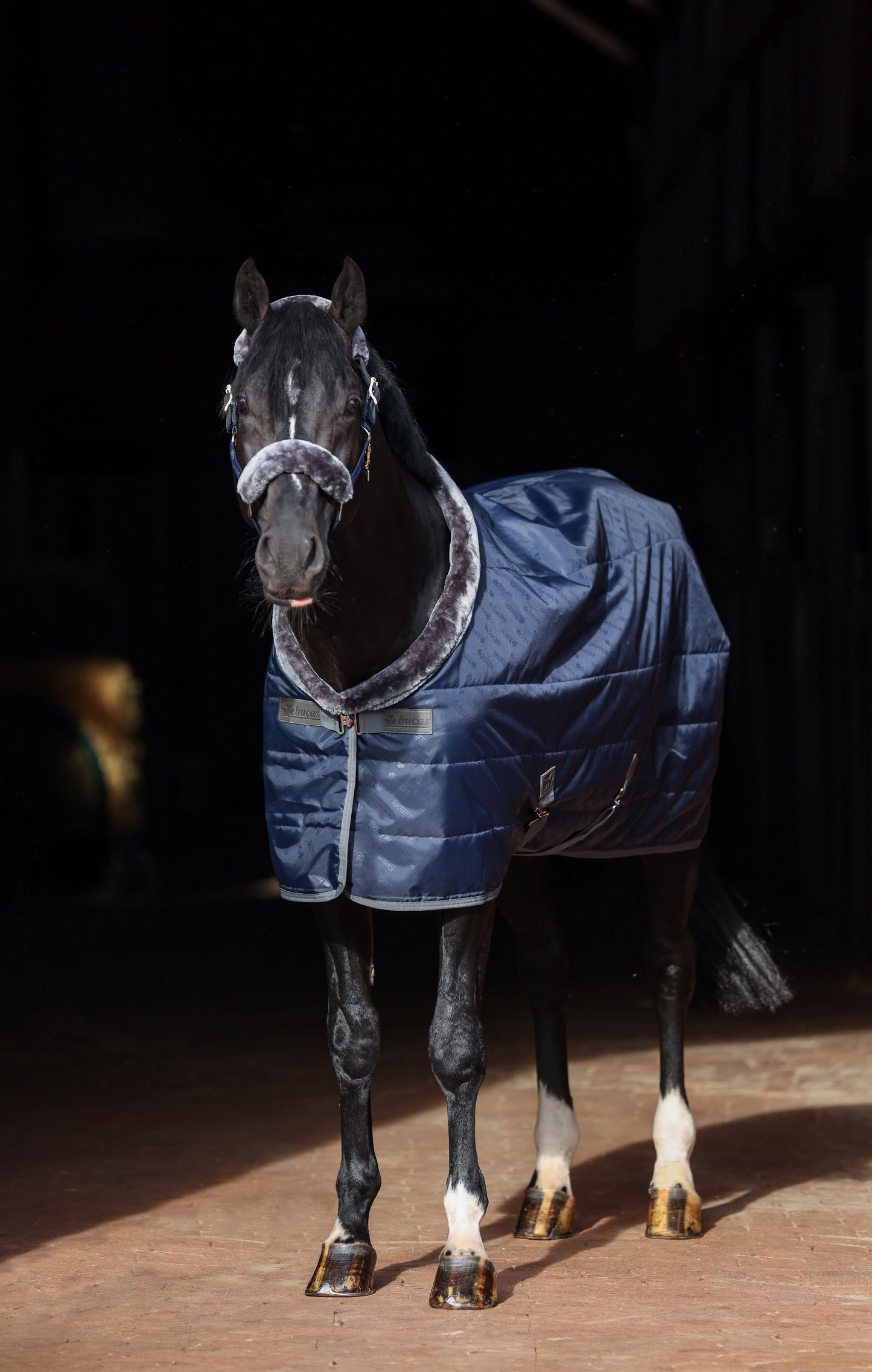SHOW-LINE STABLE RUG- Navy/Grey-21- 7'0 (165)