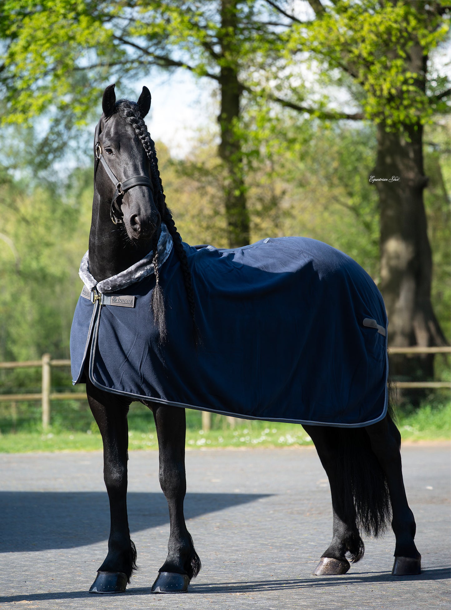 SHOW-LINE FLEECE 400- Navy/Grey-21- 7'0 (165)