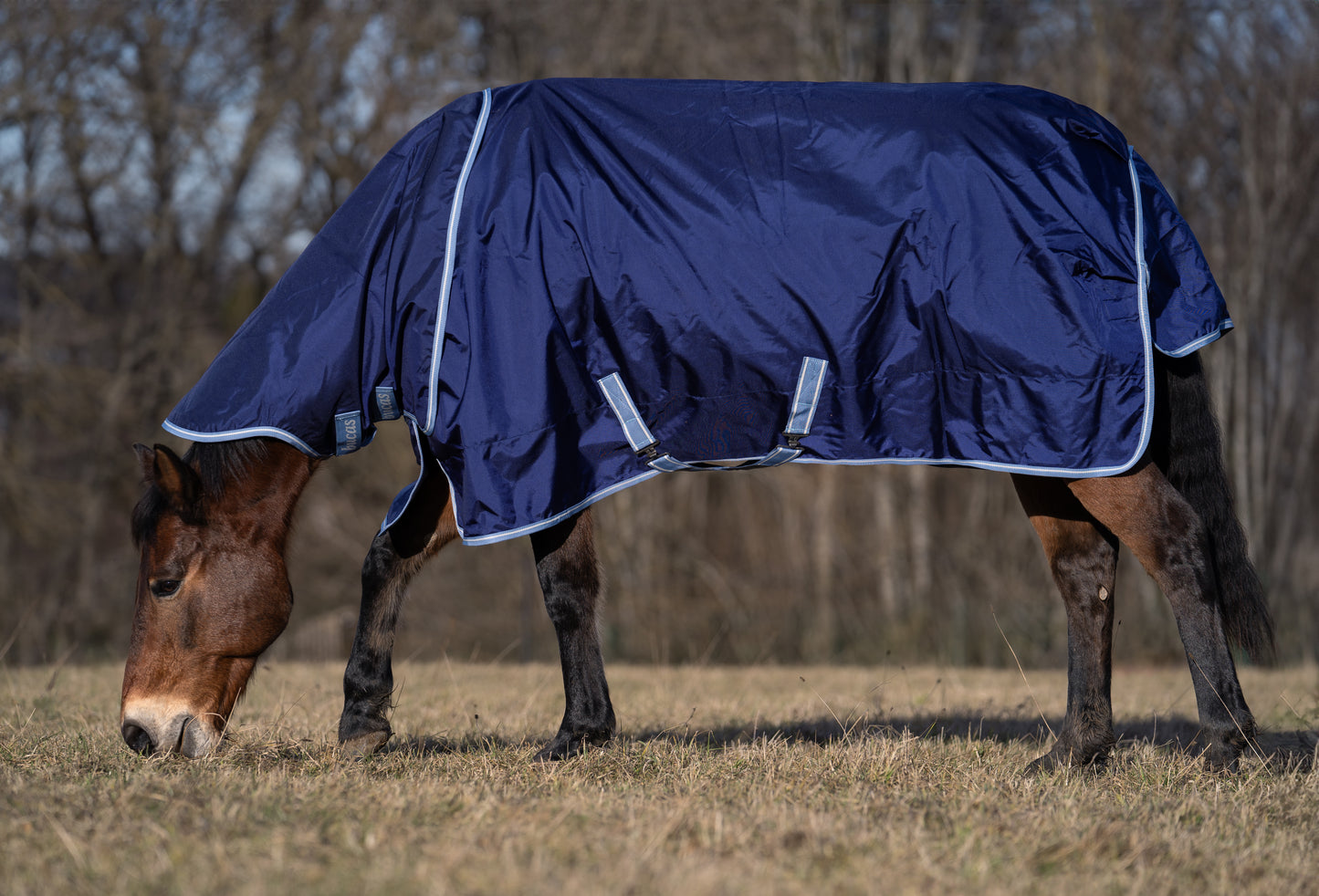 ATLANTIC EXCLUSIVE 0g + NECK- Navy/light blue - 58- 6'0 (135