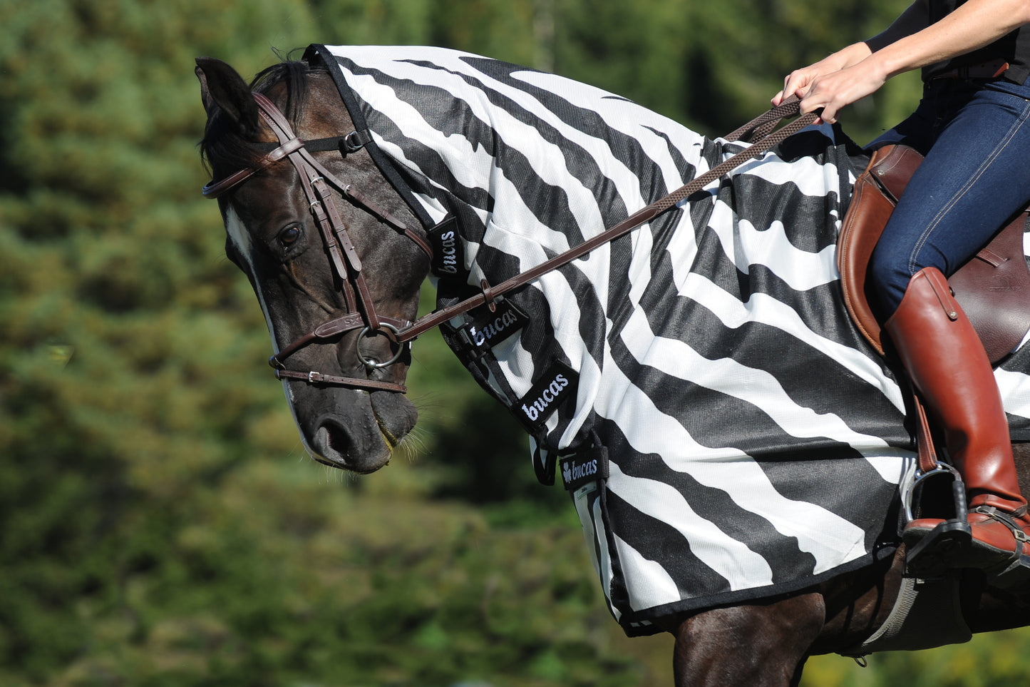 BUZZ-OFF RIDING ZEBRA- Zebra Print-80- S