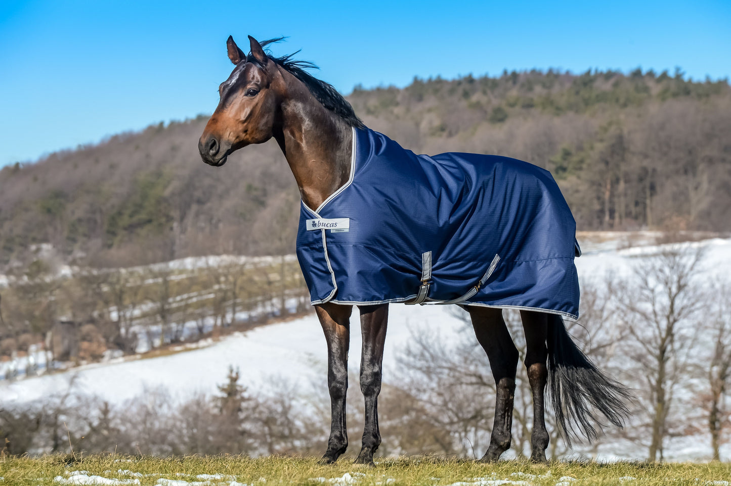 FREEDOM TURNOUT LIGHT HIGH NECK- Navy-62- 6'3 (140)