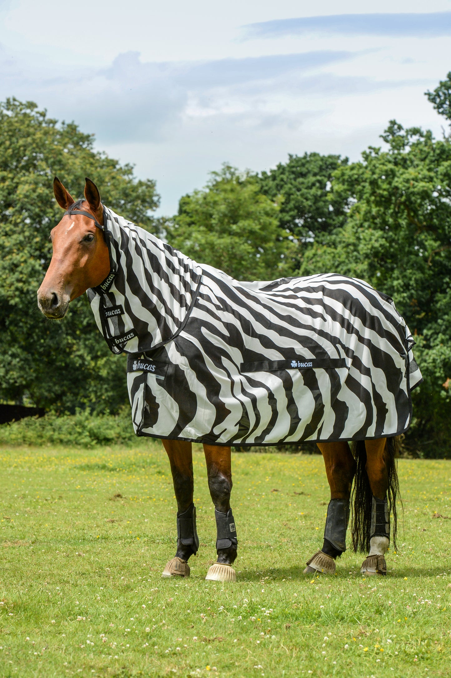 BUZZ-OFF ZEBRA PONY- Zebra Print-80- 4'0 (95)