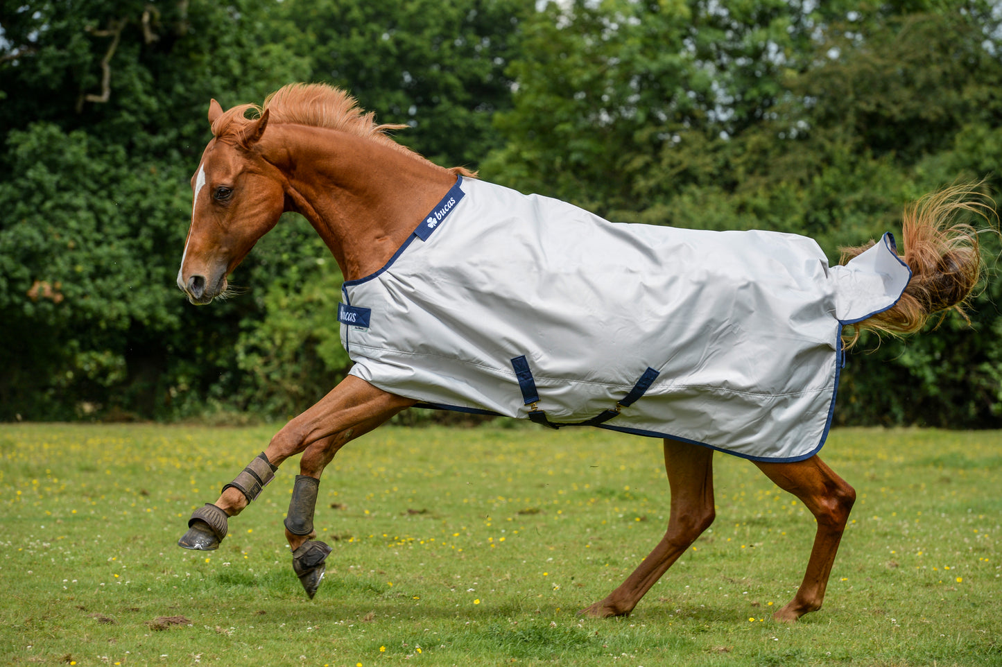 IRISH TURNOUT 250- Black/Gold-22- 5'6 (125)