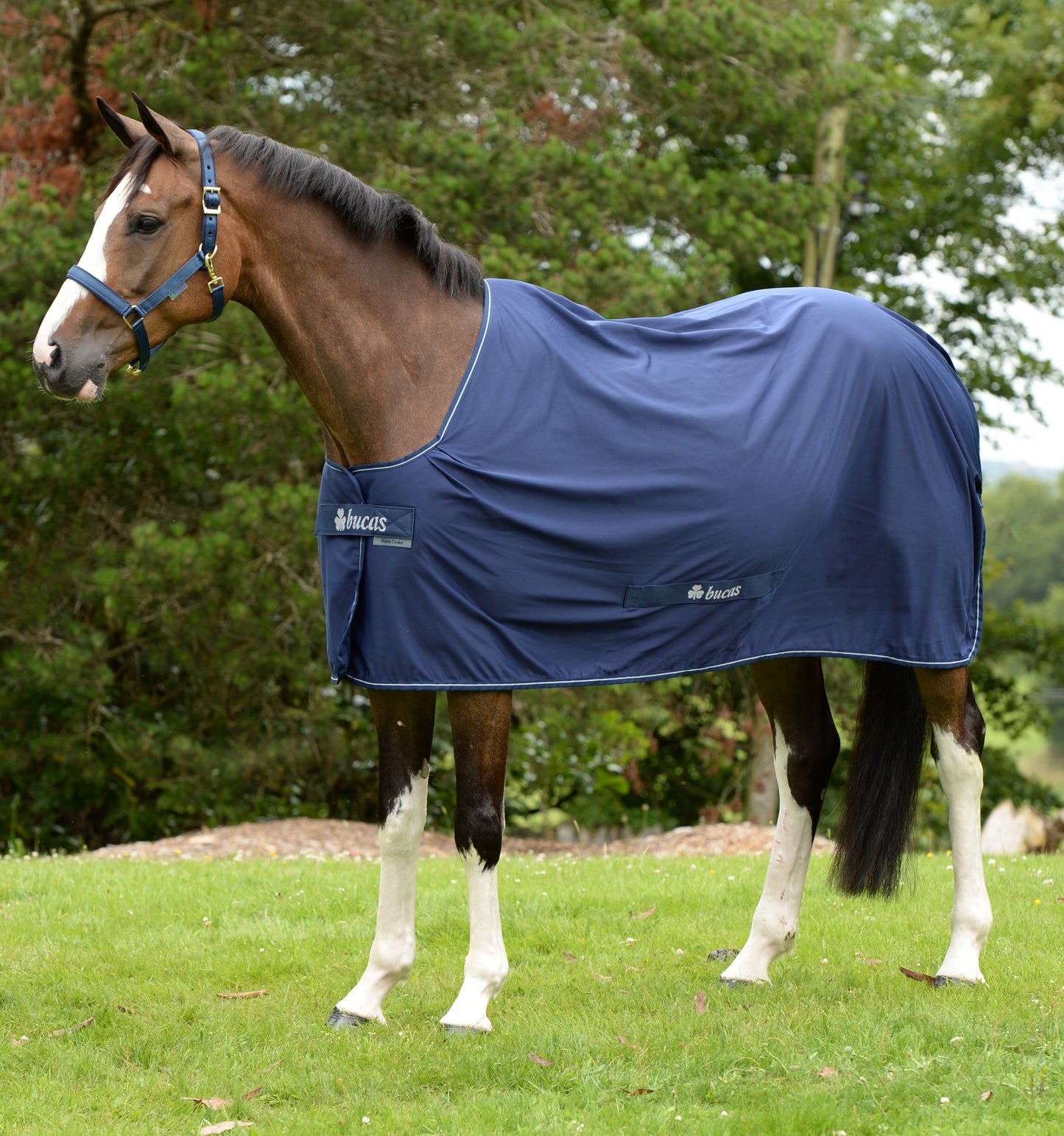 POWER COOLER - Navy/Silver - 62 - 7'0