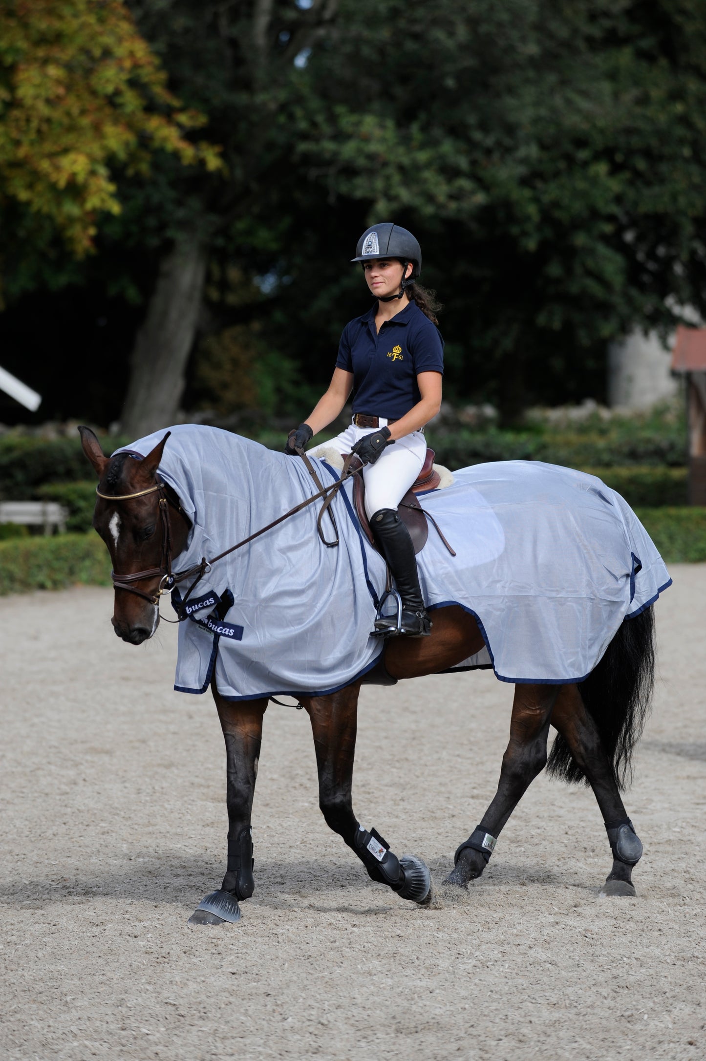 BUZZ OFF RIDING RUG- Blue-02- S