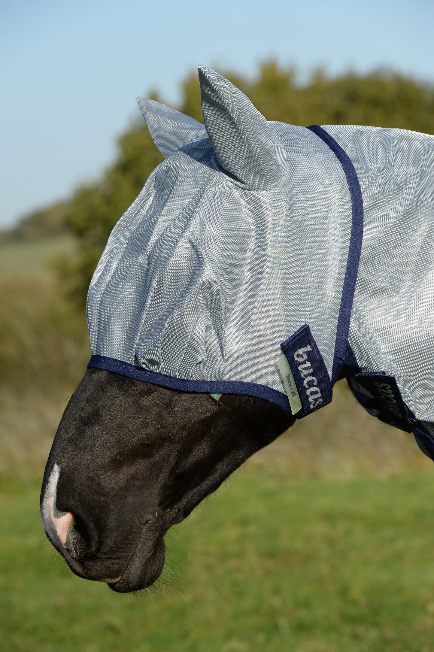 BUZZ-OFF FLY MASK- 4-PACK- Blue-02- XS