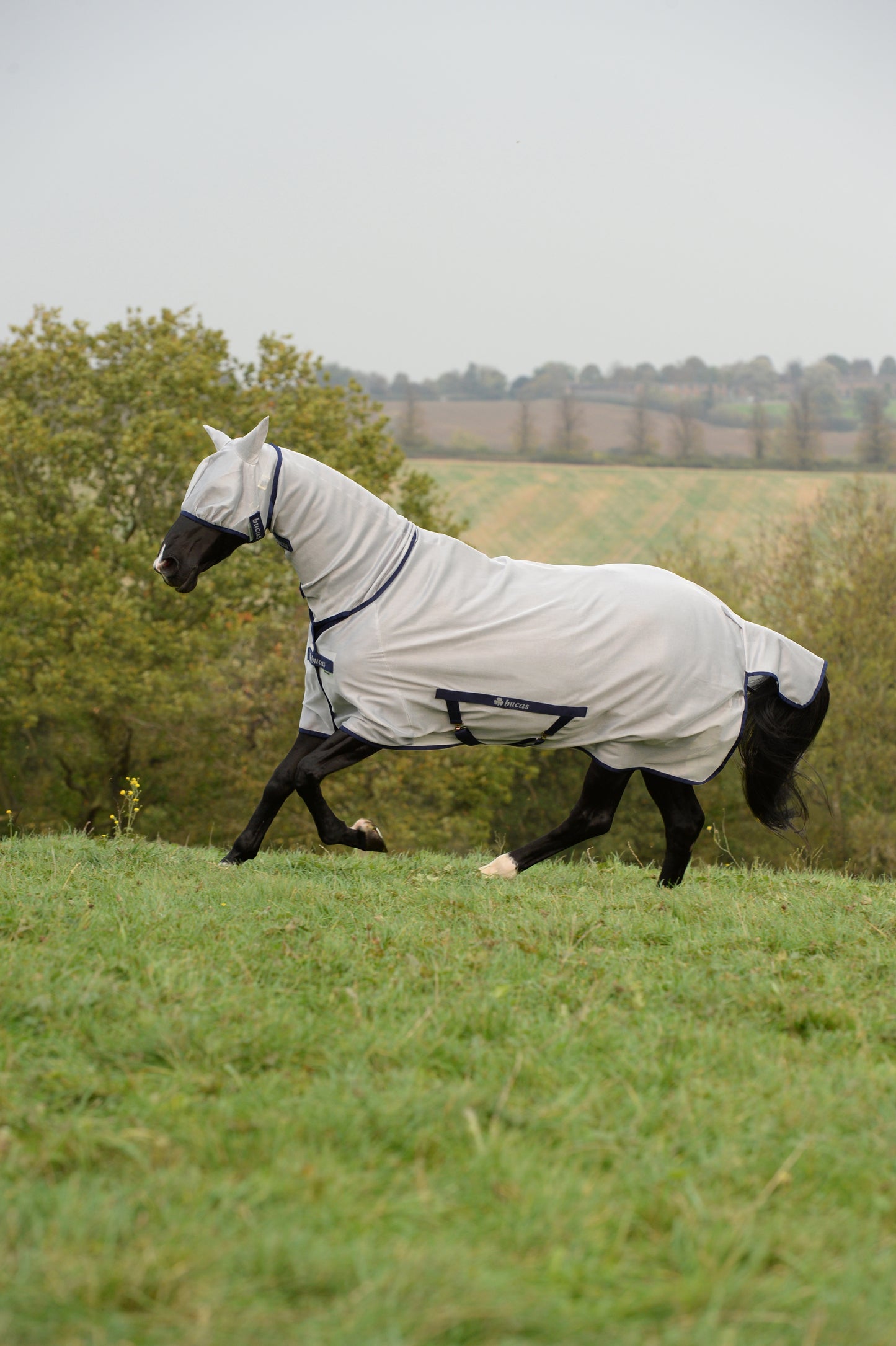 FREEDOM FLY MASK- Silver-15- M