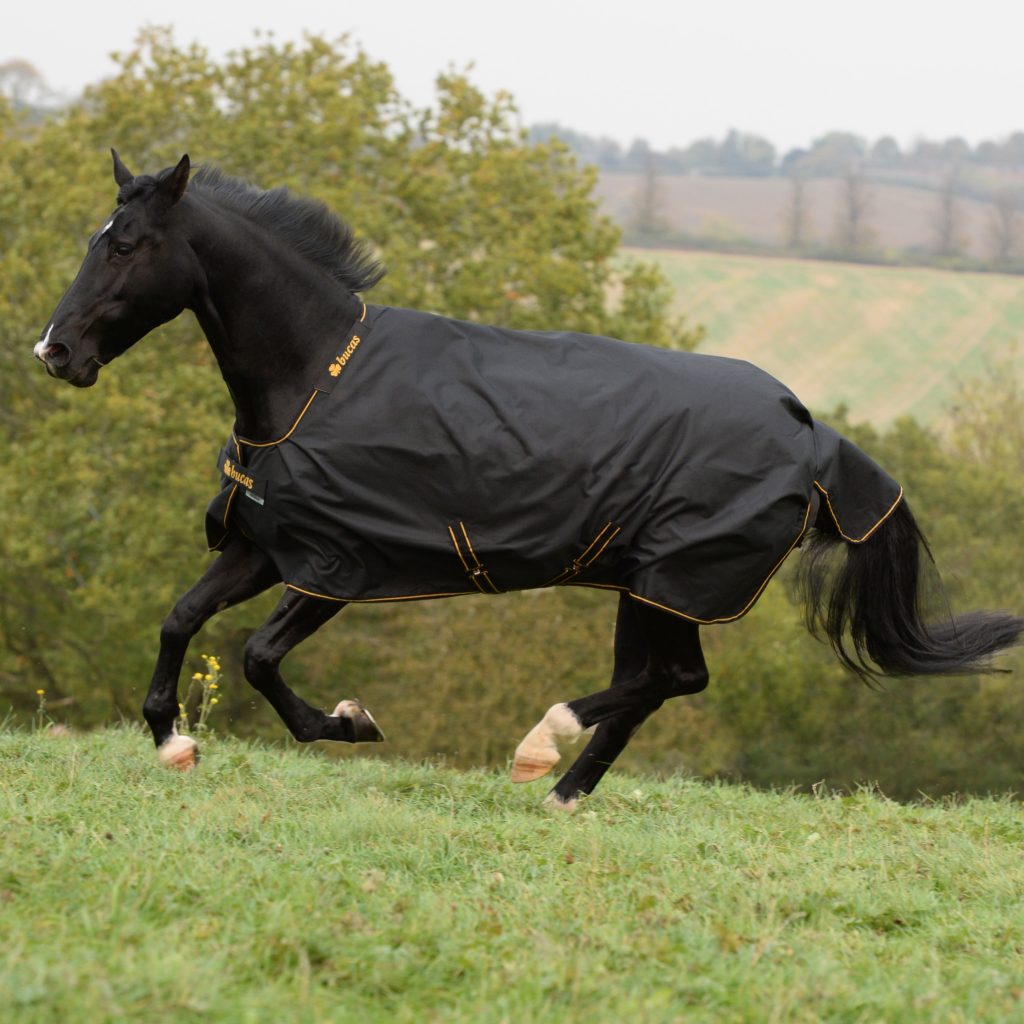 IRISH TURNOUT 150- Navy/Gold-24- 5'0 (115)