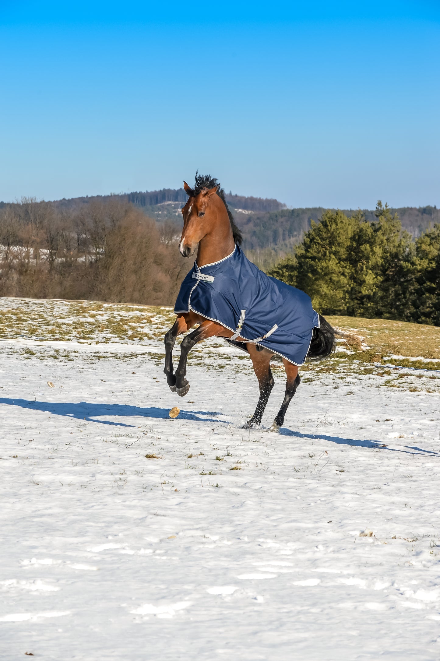 FREEDOM TURNOUT 150 PONY- Navy-62- 4'6 (105)