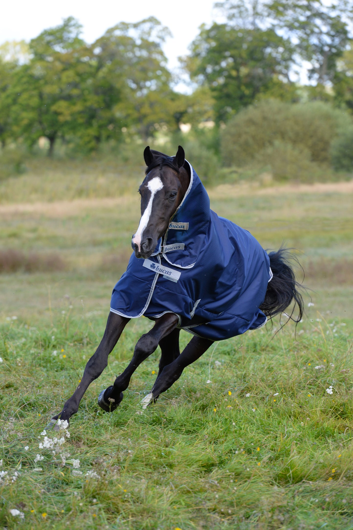FREEDOM TURNOUT 300/150 FULL NECK- Navy-62- 5'9 (130)