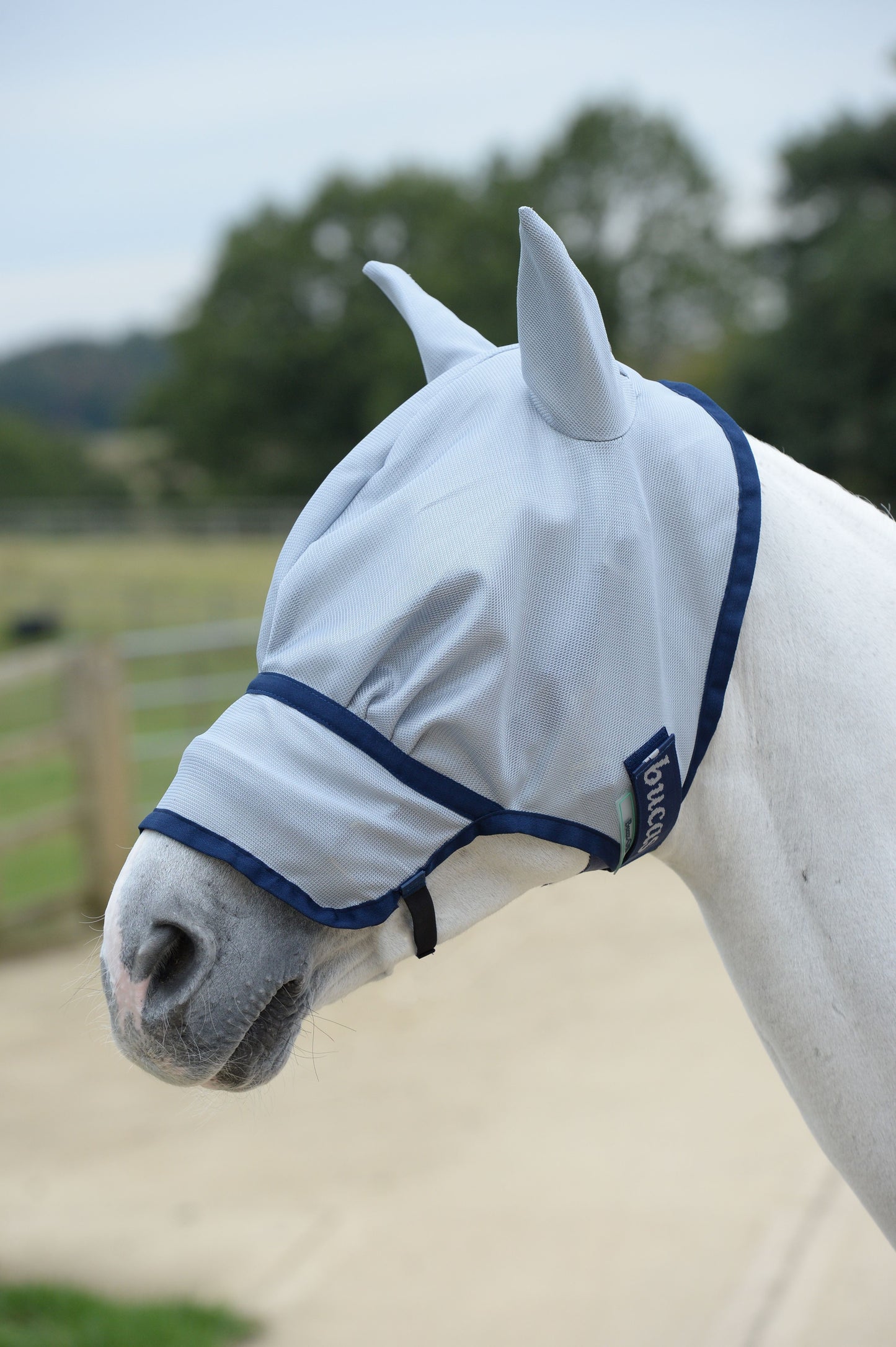 Buzz-Off Extended nose- Blue-02- S