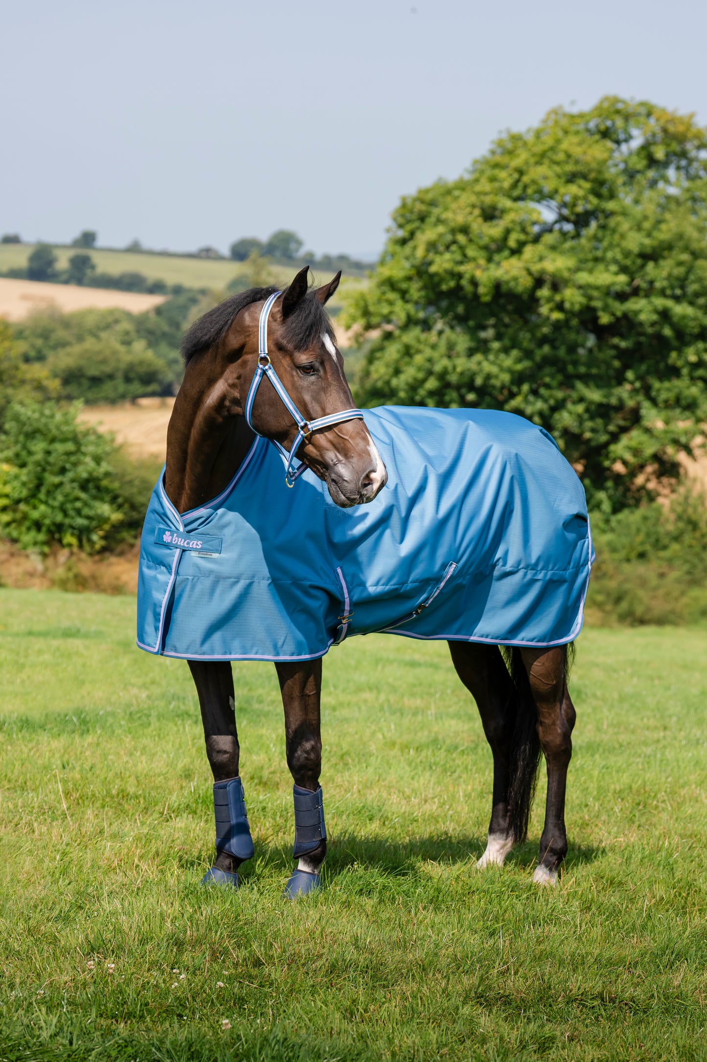 Freedom Turnout 150g Pony- Blueberry-85- 5'0 (115)