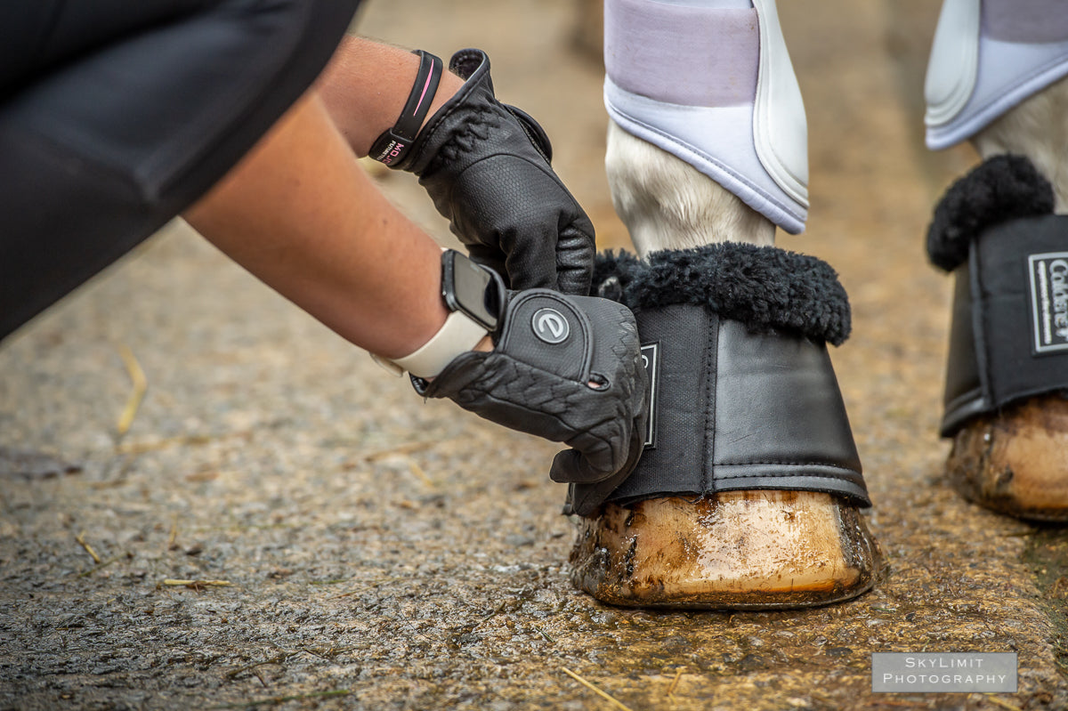 eQUEST GripPro Winter Edition Riding Gloves – Black | Warm, Grippy & Touchscreen