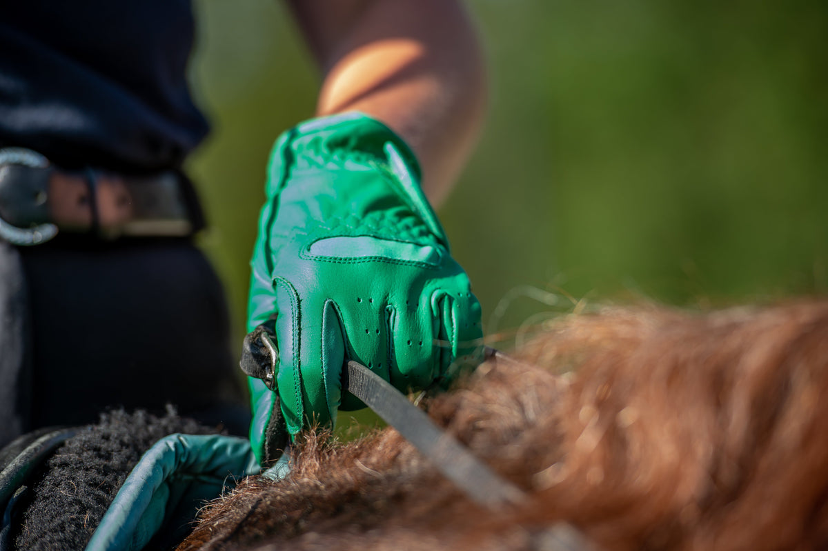 eQUEST GripPro Leather Touchscreen Riding Gloves - Jade Green | Classic English Style