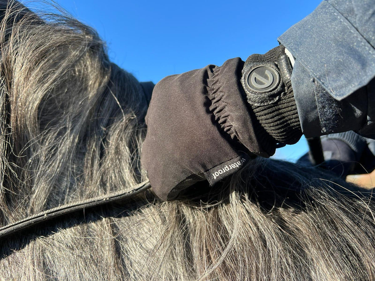 eQUEST Waterproof Riding & Yard Gloves – Black | Warm, Grippy & Touchscreen