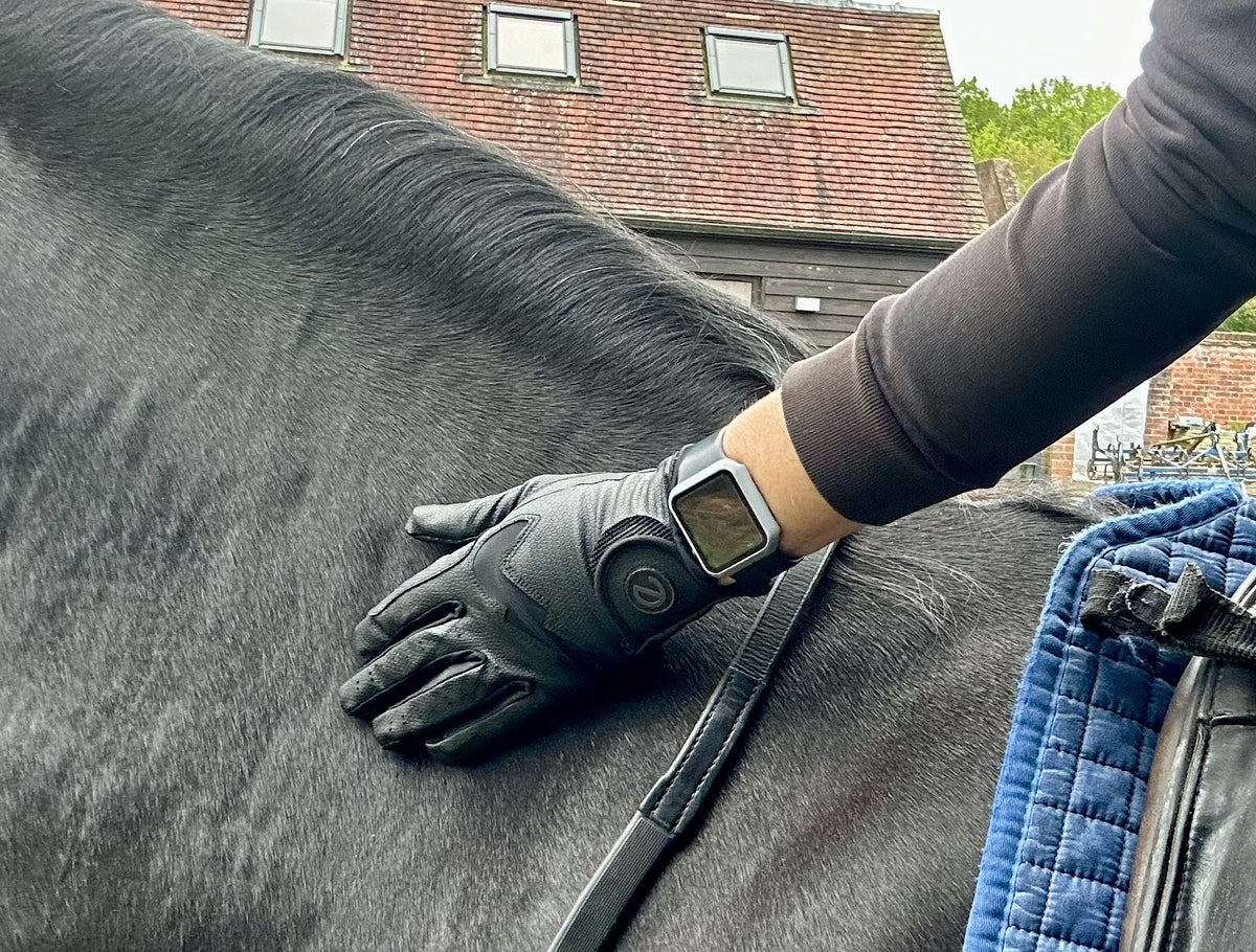 eQUEST GripPro LITE V3 Lightweight Riding Gloves – Black / Black | Lightweight, Grippy & Breathable