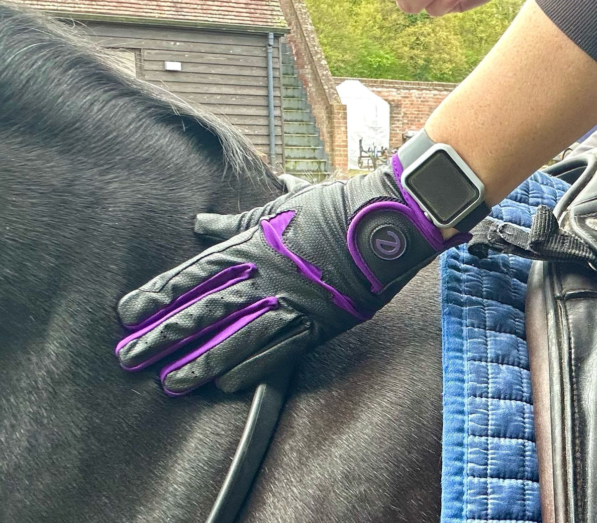 eQUEST GripPro LITE V3 Lightweight Riding Gloves – Black / Purple | Lightweight, Grippy & Breathable