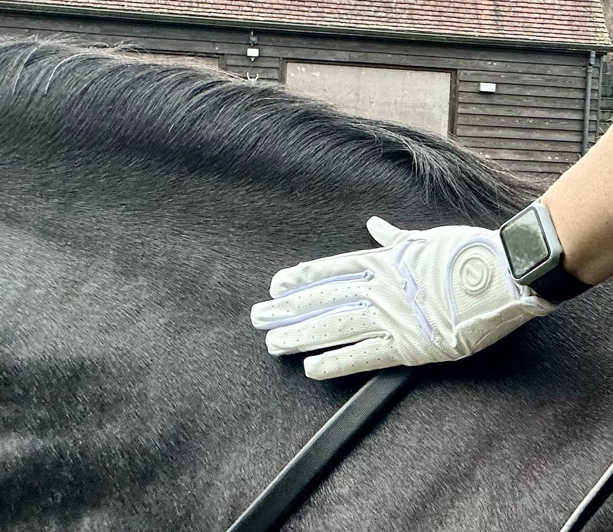 eQUEST GripPro LITE V3 Lightweight Riding Gloves – White / White | Lightweight, Grippy & Breathable