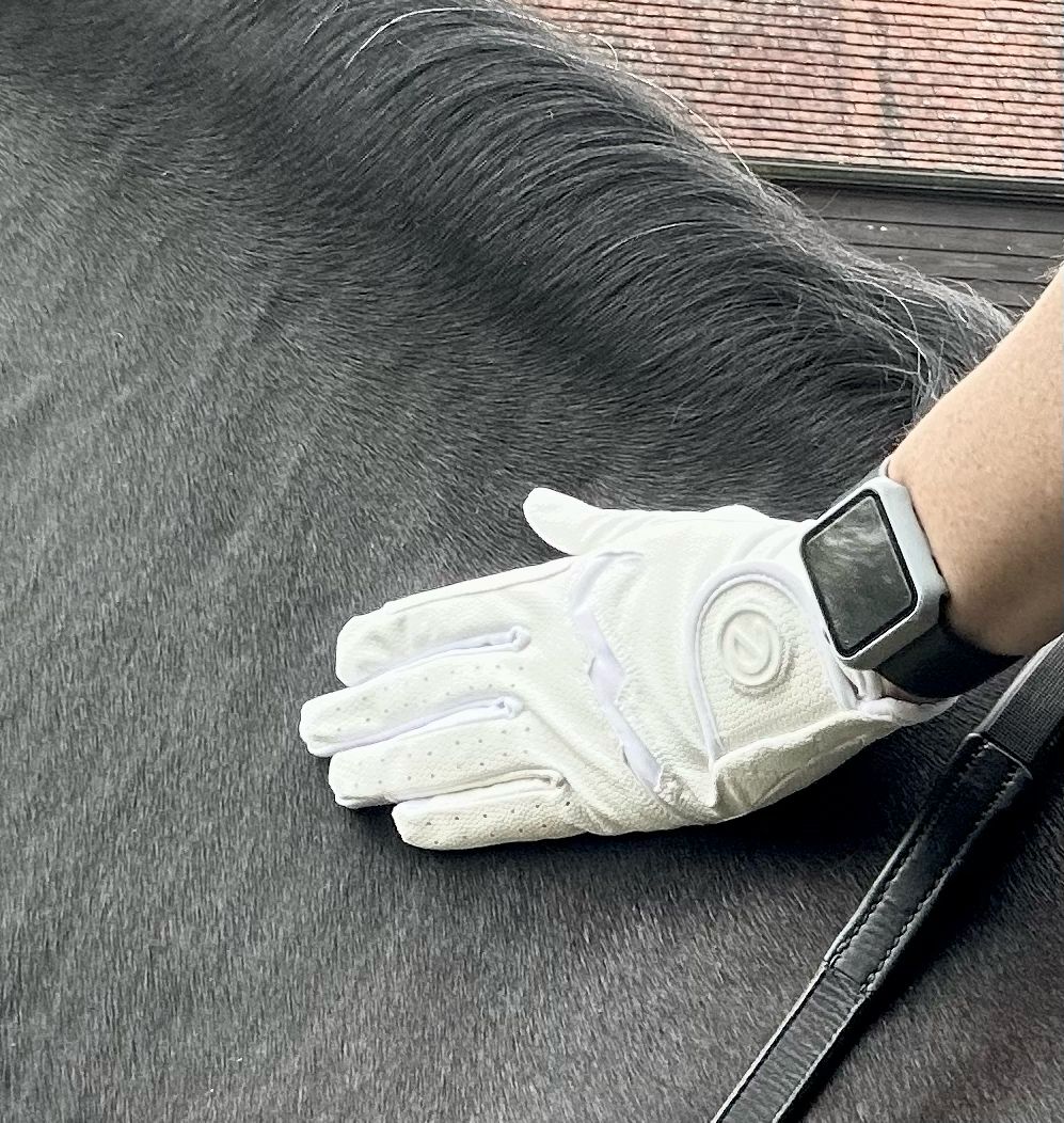 eQUEST GripPro LITE V3 Lightweight Riding Gloves – White / White | Lightweight, Grippy & Breathable