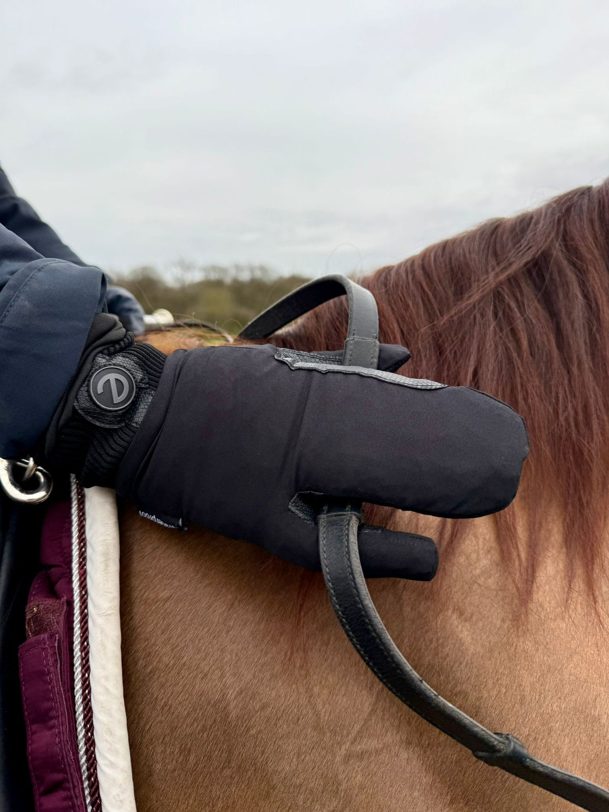 eQUEST Waterproof Mitt – Black | Maximum Coverage for Wet & Cold Days