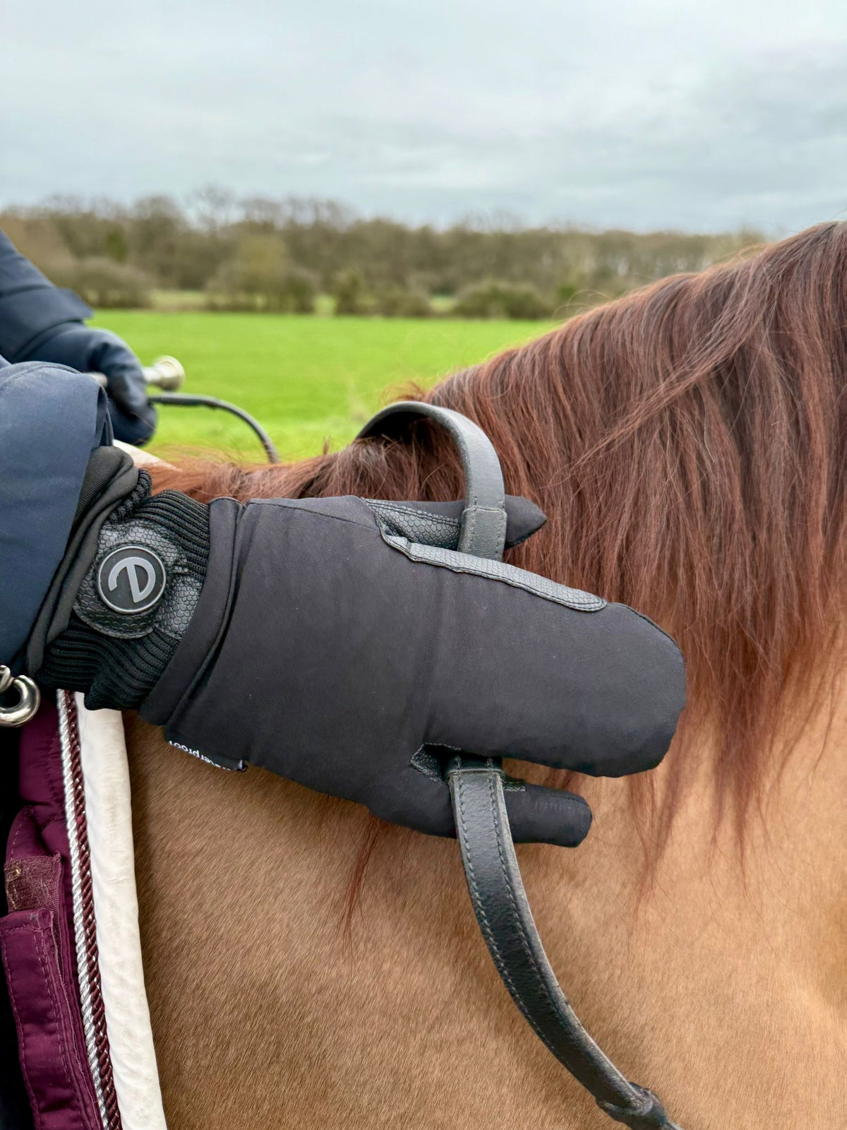 eQUEST Waterproof Mitt – Black | Maximum Coverage for Wet & Cold Days