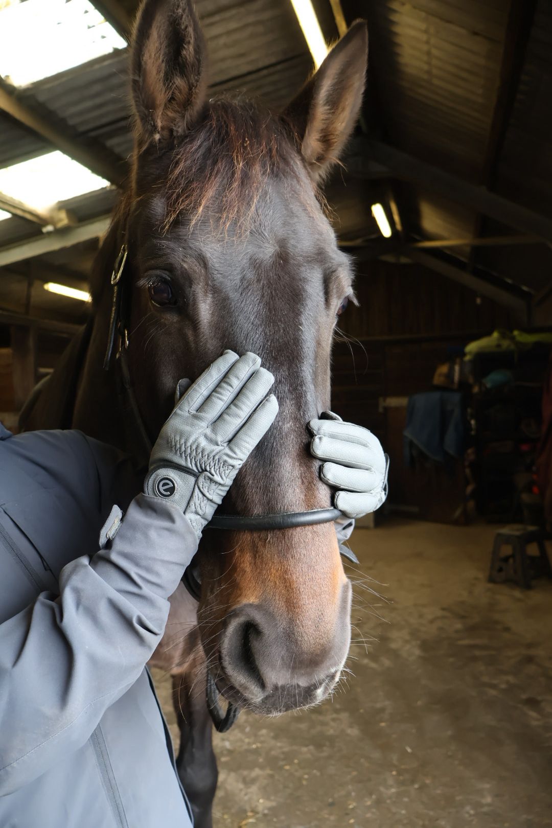eQUEST GripPro Winter Edition Riding Gloves – Grey | Warm, Grippy & Touchscreen