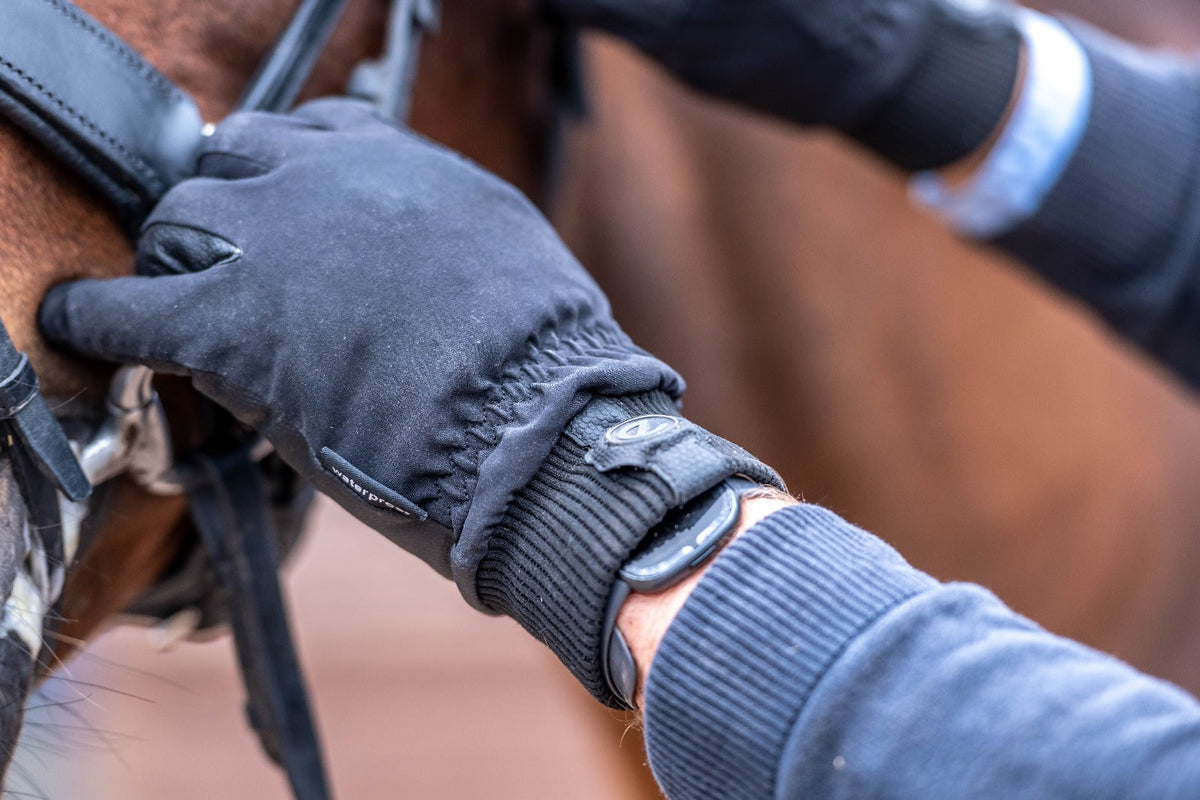 eQUEST Waterproof Riding & Yard Gloves – Black | Warm, Grippy & Touchscreen