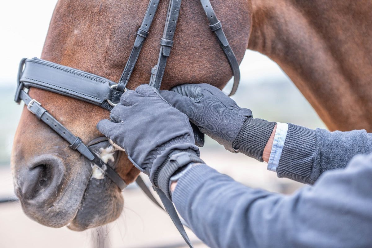 eQUEST Waterproof Riding & Yard Gloves – Black | Warm, Grippy & Touchscreen