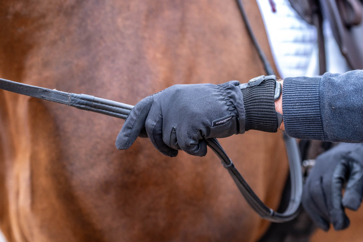 eQUEST Waterproof Riding & Yard Gloves – Black | Warm, Grippy & Touchscreen