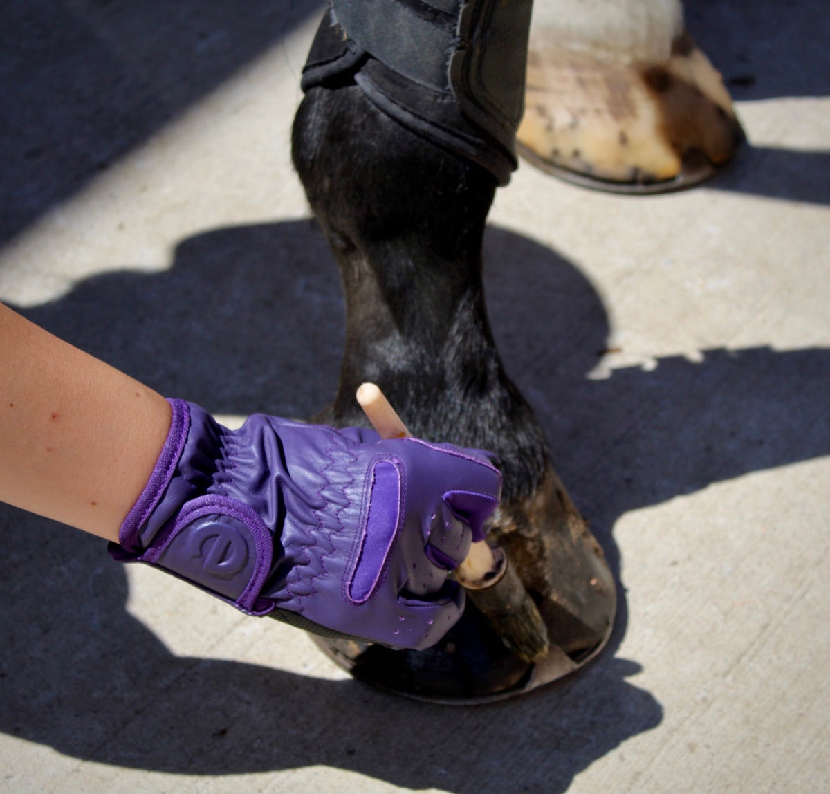 eQUEST GripPro Leather Touchscreen Riding Gloves - Purple | Classic English Style