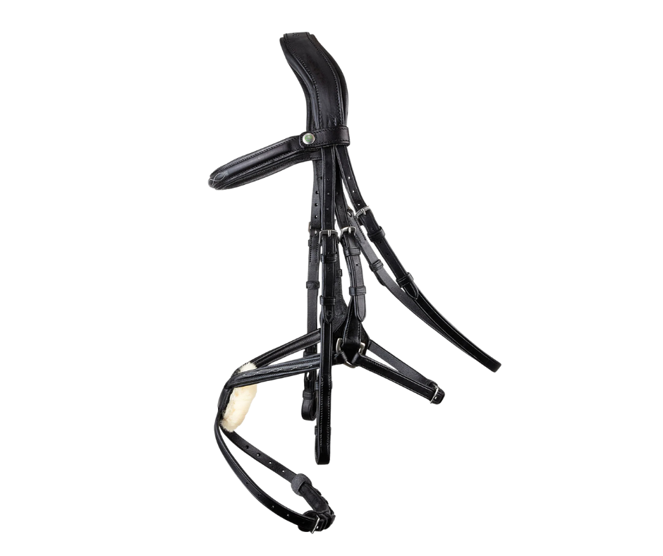 Galway v2.0 Bridle