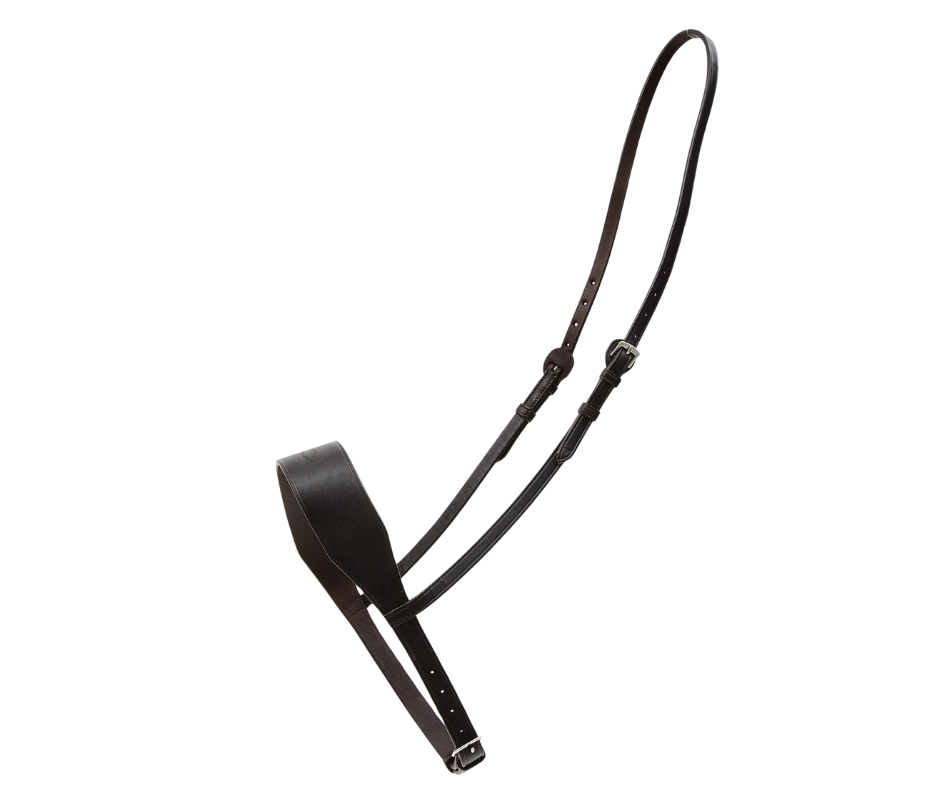 2" Noseband