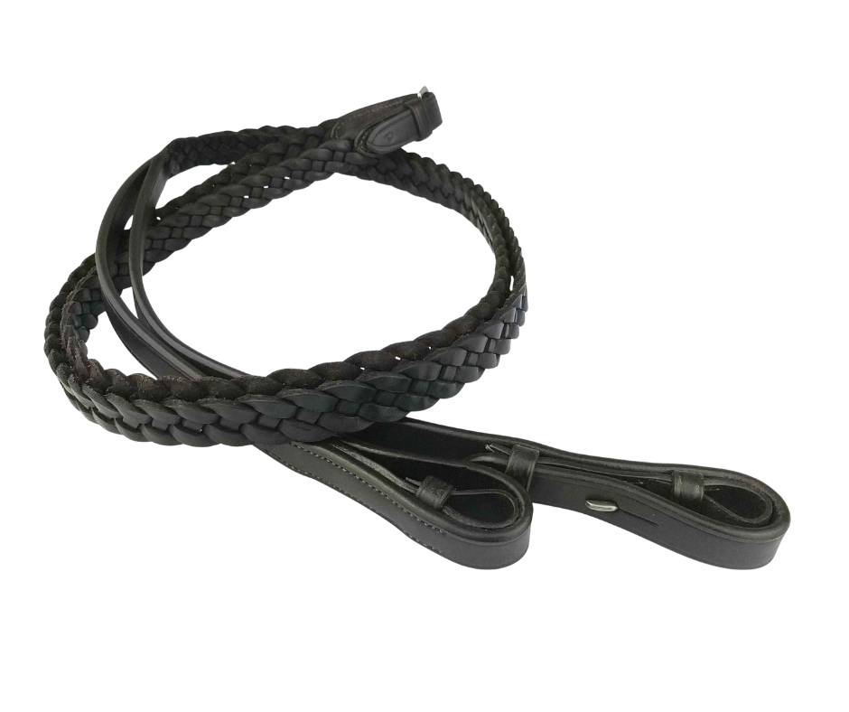 Plaited Reins